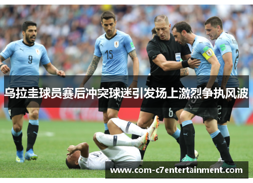 乌拉圭球员赛后冲突球迷引发场上激烈争执风波